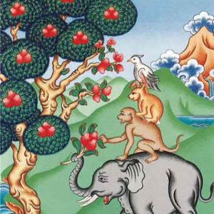 Meet your Posher, Bleulilypad